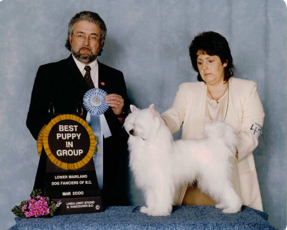 blizzardsgrouponepuppy.jpg