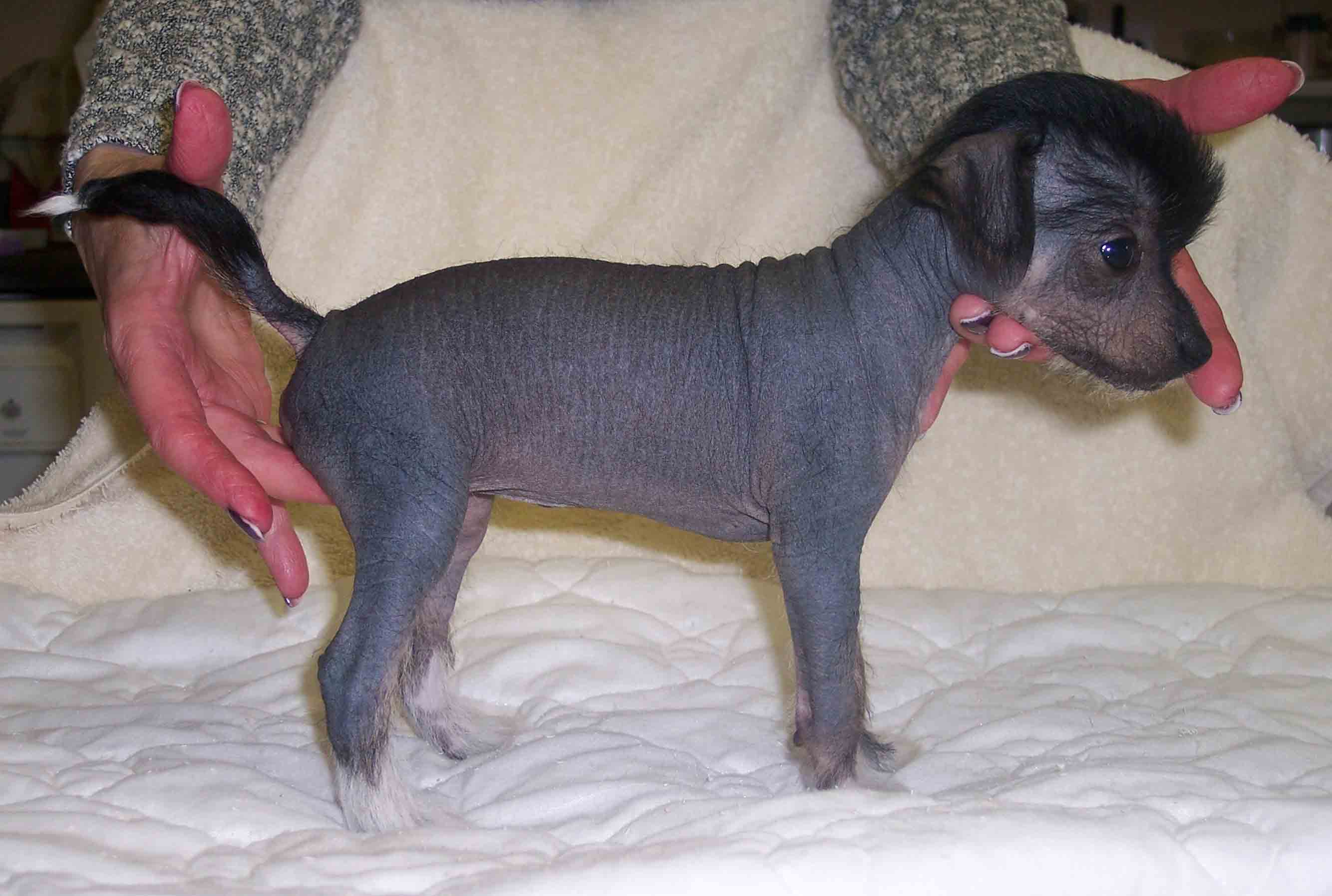 blackweb12may.jpg